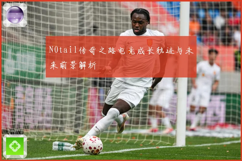N0tail传奇之路电竞成长轨迹与未来前景解析