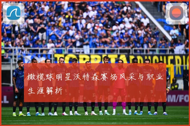 橄榄球明星沃特森赛场风采与职业生涯解析