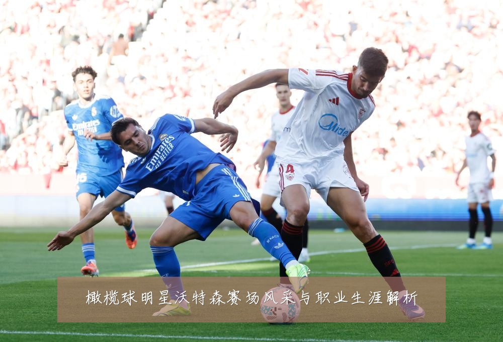 橄榄球明星沃特森赛场风采与职业生涯解析